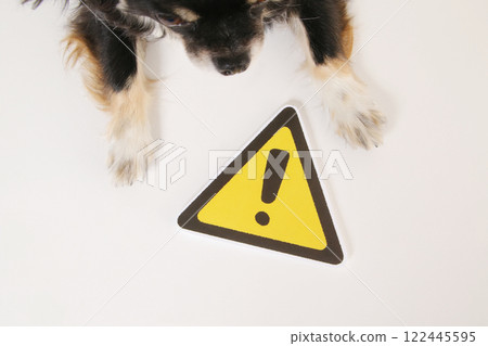 警告標誌和吉娃娃的爪子 警告標誌和吉娃娃的爪子 122445595