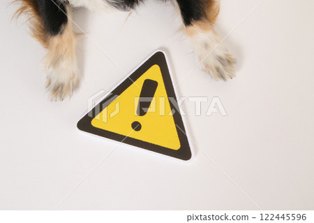 Caution sign and chihuahua's paw Caution sign and chihuahua's paw 122445596
