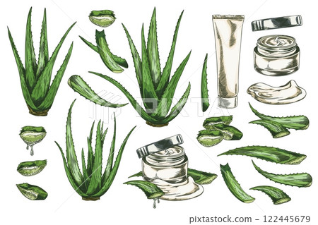 Aloe Vera plant and cosmetic product sketch vector set, succulent prickly herbal green foliage, leaves with essence drop Aloe Vera plant and cosmetic product sketch vector set, succulent prickly herbal green foliage, leaves with essence drop 122445679