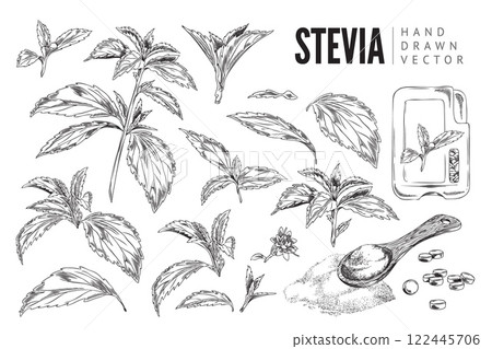 Stevia sketch. Set. Stevia sketch. Set. 122445706