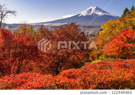 【山梨縣】富士山與紅葉 122446964