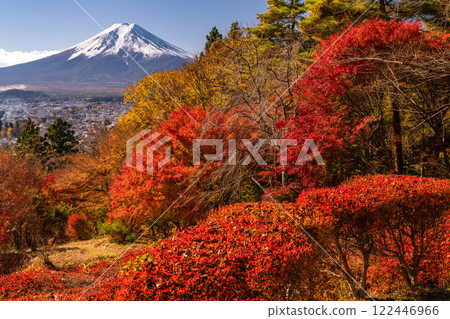 【山梨縣】富士山與紅葉 122446966