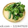 Anchovy greens Anchovy greens 122447020