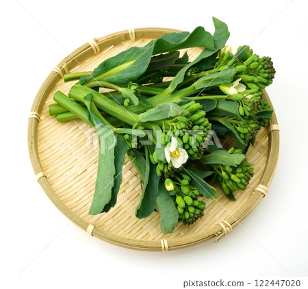 鳀魚葉 鳀魚葉 122447020