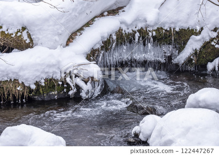 Icicles in a clear stream in the forest, Oku-Daisen 122447267