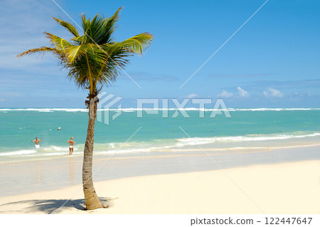 Exotic beach 122447647