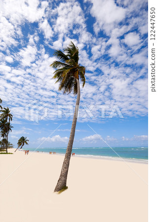 Exotic beach Exotic beach 122447650