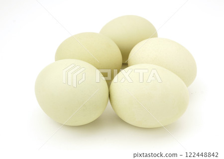 Araucana egg　 122448842