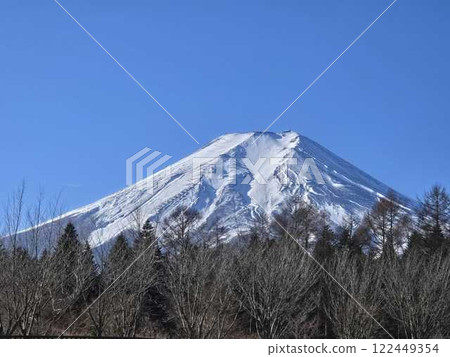 雄偉的富士山 - 藍天和白雪皚皚的冬季風景 雄偉的富士山 - 藍天和白雪皚皚的冬季風景 122449354