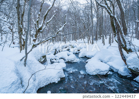 『青森縣』冬季奧入瀨溪谷的雪景 122449437