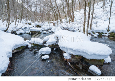『青森縣』冬季奧入瀨溪谷的雪景 『青森縣』冬季奧入瀨溪谷的雪景 122449442