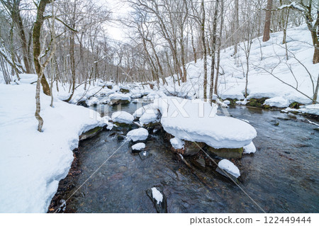 『青森縣』冬季奧入瀨溪谷的雪景 122449444