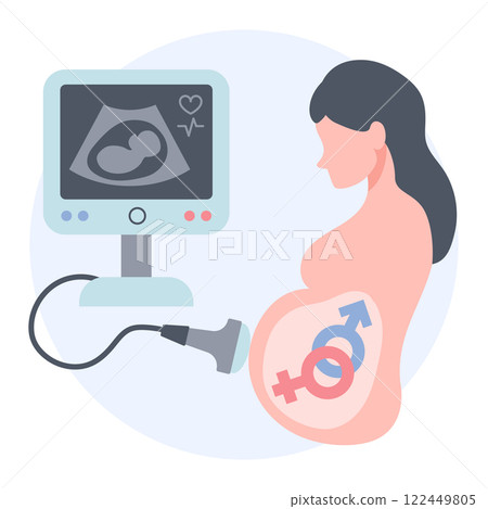 Ultrasound of a pregnant woman icon illustration in flat style. Determining gender of the baby. Vector illustration 122449805