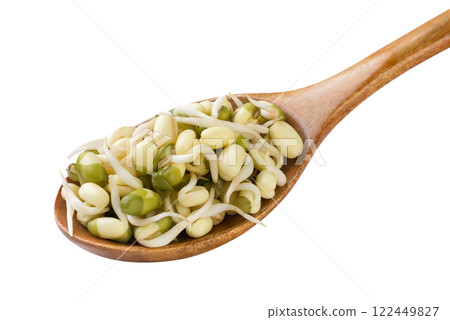 Sprouted mung beans in a wooden spoon on a white background. Isolated 122449827