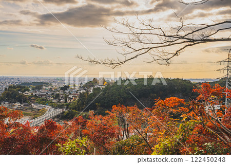 Autumn leaves and cityscape in the evening as seen from the Tobayama Park Observatory in Hamamatsu City (Shizuoka Prefecture) Autumn leaves and cityscape in the evening as seen from the Tobayama Park Observatory in Hamamatsu City (Shizuoka Prefecture) 122450248