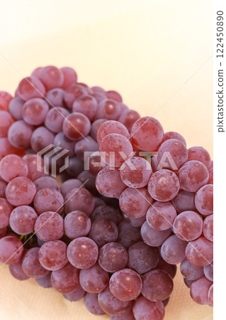 Delaware, small red-purple grapes, light background, Yamagata Prefecture Delaware, small red-purple grapes, light background, Yamagata Prefecture 122450890