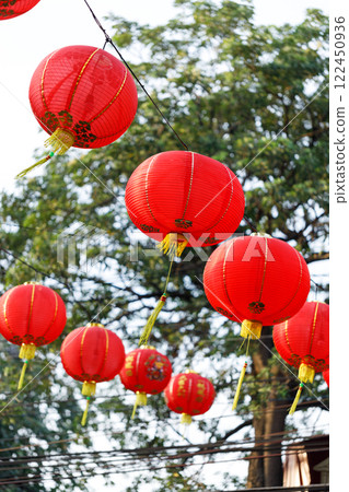 Spring festival, Lunar or Chinese new year lanterns decorated over street in old town, Thailand. The letters mean Luck, Congratulations, Blessing and Happiness Spring festival, Lunar or Chinese new year lanterns decorated over street in old town, Thailand. The letters mean Luck, Congratulations, Blessing and Happiness 122450936