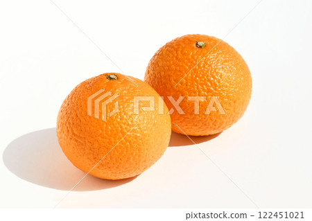 Mandarin oranges and citrus fruits (sweet spring) 122451021