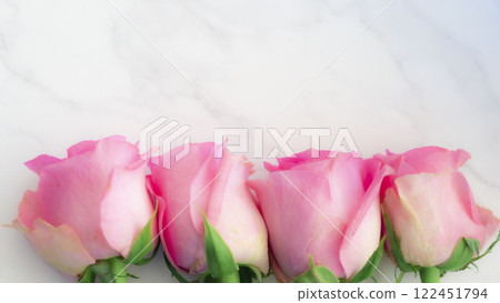 Pink roses lined up under a white background Pink roses lined up under a white background 122451794