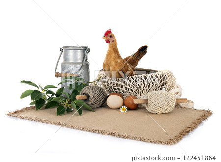 nature decoration and chicken nature decoration and chicken 122451864