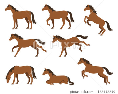 Illustration set of horses in various poses (standing, walking, running, jumping, kicking, eating grass, sitting) 122452259