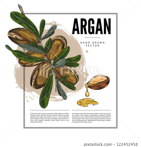 Argan branch with leaves and nuts sketch vector label design, hand drawn cosmetic and medical plant, essential oil fruit Argan branch with leaves and nuts sketch vector label design, hand drawn cosmetic and medical plant, essential oil fruit 122452458