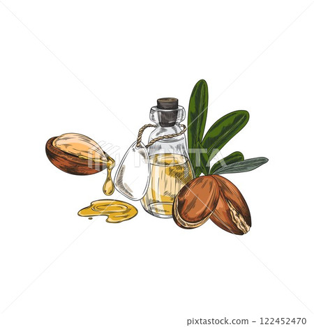 Vector watercolor illustration of bottle with oil, fruits and leaves of argan tree. 122452470
