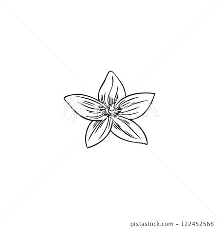 Bergamot flower vector icon, blossom plant engraved sketch, hand drawn blooming floral ink design element, spring bud Bergamot flower vector icon, blossom plant engraved sketch, hand drawn blooming floral ink design element, spring bud 122452568