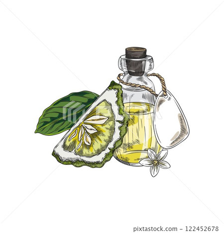 Bergamot fruit slice, flower, leaf and bottle of oil vector sketch, hand drawn ripe green Kaffir lime fruit citrus plant 122452678