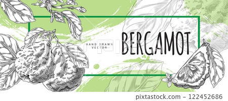 Banner with bergamot illustration in black and white with leaves, flowers, and a slice. 122452686