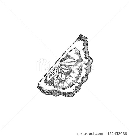Bergamot fruit slice engraved sketch, vector hand drawn ripe Kaffir lime fruit, farm organic juicy citrus food plant Bergamot fruit slice engraved sketch, vector hand drawn ripe Kaffir lime fruit, farm organic juicy citrus food plant 122452688