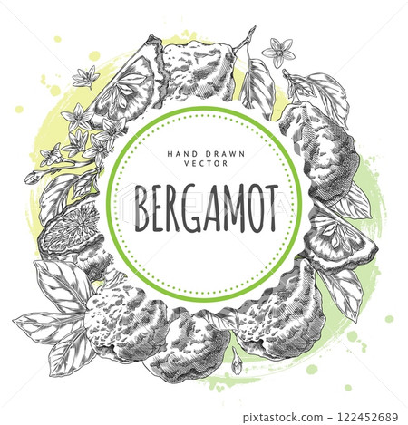 Illustration of round frame framed with bergamot citrus fruit with flowers and leaves, hand drawn. 122452689