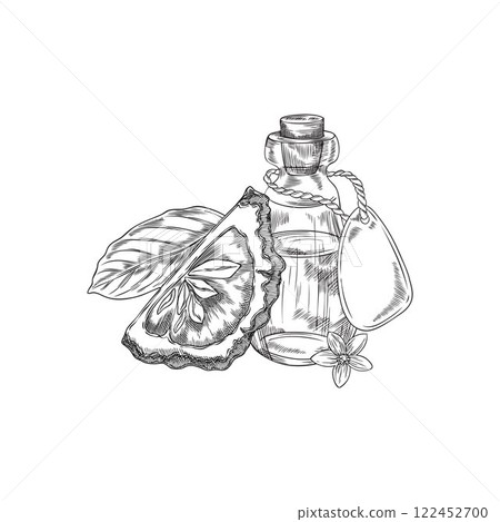 Bergamot fruit slice, flower, leaf and bottle of oil vector engraved sketch, hand drawn Kaffir lime fruit citrus plant 122452700