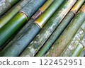 Image of bamboo 122452951