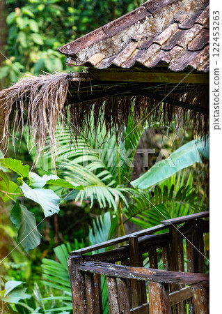 Image of a tropical village 122453263