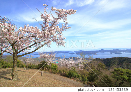 The Setouchi scenery seen from Mount Asahi when the cherry blossoms are in bloom The Setouchi scenery seen from Mount Asahi when the cherry blossoms are in bloom 122453289