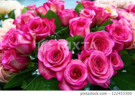 Bouquet of fresh violet roses. Colorful floral background. 122453300