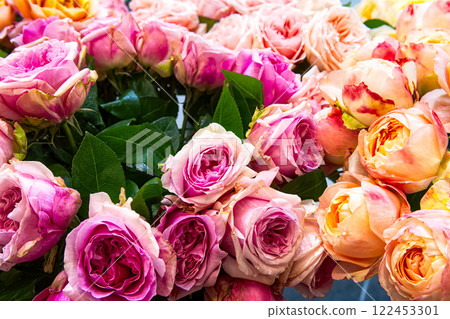 Bouquet of fresh violet and yellow roses. Colorful floral background. Bouquet of fresh violet and yellow roses. Colorful floral background. 122453301