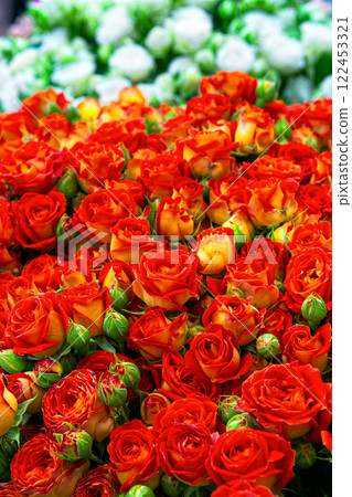 Bouquet of fresh red-yellow roses. Colorful floral background. Bouquet of fresh red-yellow roses. Colorful floral background. 122453321