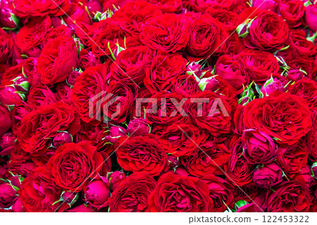 Bouquet of fresh red roses. Colorful floral background. 122453322