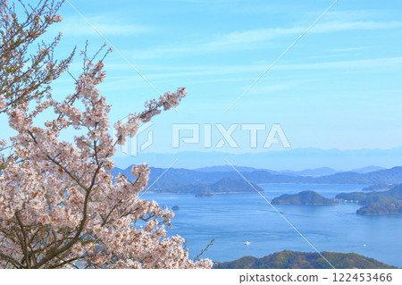 View of the Seto Inland Sea and Shikoku Mountains through the cherry blossoms from Mount Asahi 122453466