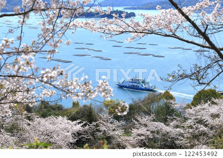A ferry bound for Osakikamijima surrounded by cherry blossoms 122453492