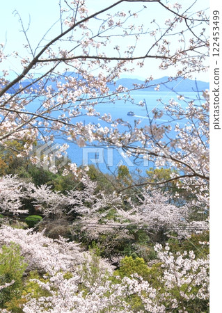 Spring scenery of the Seto Inland Sea as seen from Shofukujiyama Park (Higashihiroshima City) Spring scenery of the Seto Inland Sea as seen from Shofukujiyama Park (Higashihiroshima City) 122453499