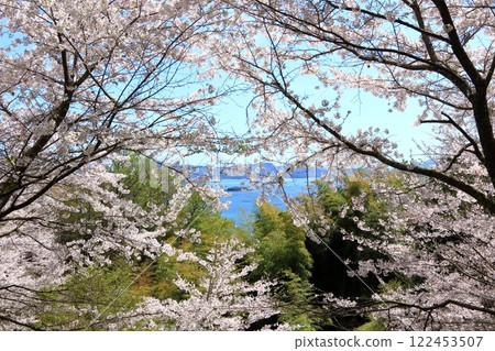 櫻花以外的瀨戶內海 櫻花以外的瀨戶內海 122453507