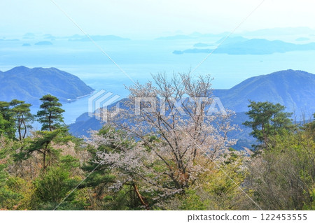 透過野呂山的櫻花看瀨戶內海 122453555