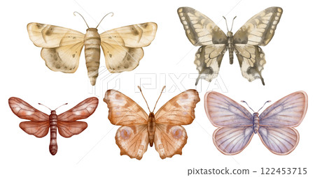 Set of delicate cute violet yellow beige brown butterflies. Hand drawn watercolor illustration on isolated white background. For decoration, design of romantic, children's and women's textiles Set of delicate cute violet yellow beige brown butterflies. Hand drawn watercolor illustration on isolated white background. For decoration, design of romantic, children's and women's textiles 122453715