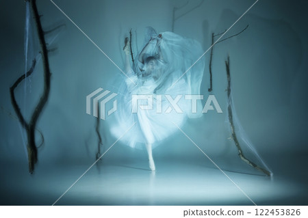Classic ballet dance blending with mystique in foggy forest with graceful ballerina dancing. 122453826