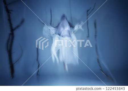 Phantom ballet dancer in mist, dancing with spectral grace, veil dissolves into air, enhancing dreamlike atmosphere. Phantom ballet dancer in mist, dancing with spectral grace, veil dissolves into air, enhancing dreamlike atmosphere. 122453843