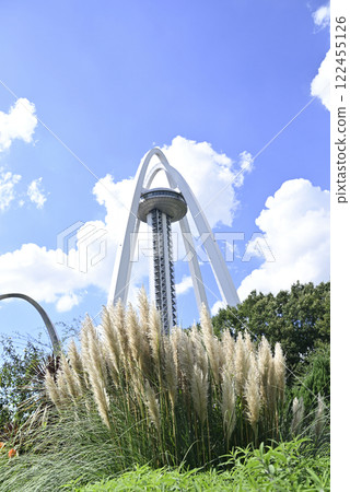 138 Tower Park 的蒲葦草 138 Tower Park 的蒲葦草 122455126
