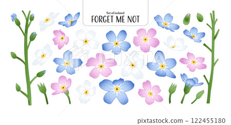 Set of isolated Forget Me Not, Scorpion grasses. Cute flower illustration in hand drawn style. Pastel blue, pink and white color tones on a transparent background. Set of isolated Forget Me Not, Scorpion grasses. Cute flower illustration in hand drawn style. Pastel blue, pink and white color tones on a transparent background. 122455180